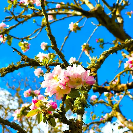 Paisible Du De Vaux * Сент-Этьен-дю-Рувре