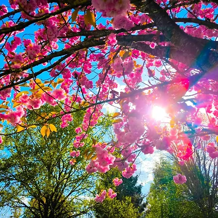 Апартаменты Paisible Du De Vaux Сент-Этьен-дю-Рувре