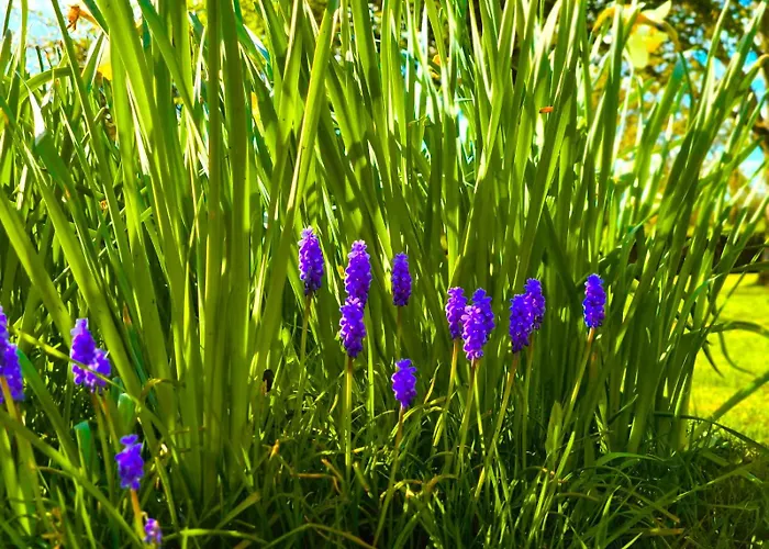 Paisible Du De Vaux Saint-Etienne-du-Rouvray