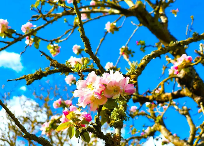 Paisible Du De Vaux * Saint-Etienne-du-Rouvray