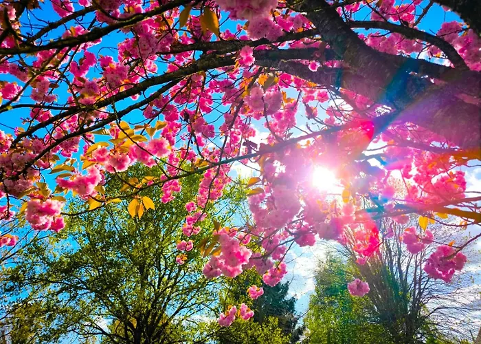 Apartment Paisible Du De Vaux Saint-Etienne-du-Rouvray